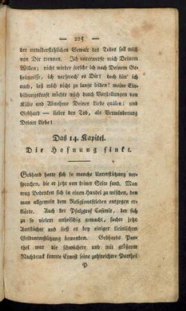 Das 14. Kapitel. Die Hoffnung sinkt.