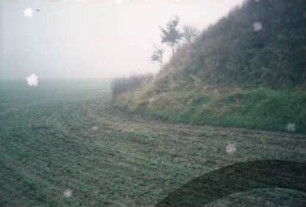 Sühlen: Grabhügel "Grabenberg" [Denkmalbuch Nr. 3]: Teilansicht: Pflugsaum