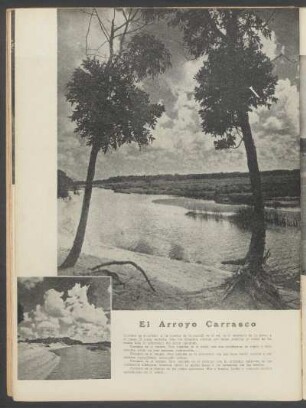 El Arroyo Carrasco