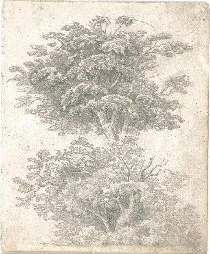ohne Verfasserangabe; Landschaft, Bäume - Ansicht