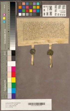 Konrad von Wichele schwört dem Grafen Adolfvon Kleve Urfehde.