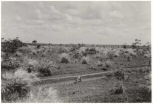 Steppenlandschaft : 28,16 km von der Fazenda Divisa entfernt, Höhe: 510 m