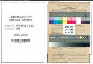 Entnazifizierung Julius Wahl , geb. 26.12.1892 (Angestellter)