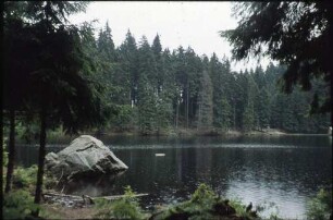 Glaswaldsee im MittlerenSchwarzwald