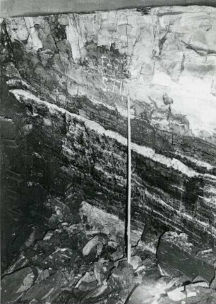 Freital-Zauckerode. Paul-Berndt-Grube (ehemaliger Königin-Carola-Schacht). 8. Sohle, West-Querschlag. Flöz 5 (x - 524, y - 160). Über Lette 1 25 cm graue Arkose, dann Tonstein