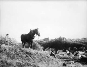 Leisnig : Leisnig. Ortsteilansicht mit Schloss Mildenstein, Stadtkirche und pflügendem Bauer (von Nordnordost)