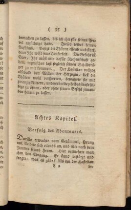 Achtes Kapitel. Verfolg des Abenteuers.