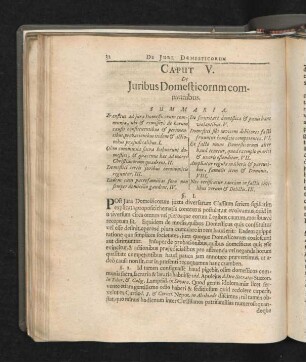 Caput V. De Iuribus Domesticorum communibus.