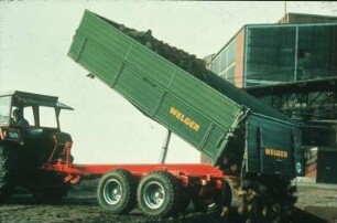 Fotografie: Tandemachsanhänger, Zuckerrübe