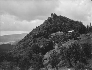 Ruine : Bewaldeter Berghang, auf der Spitze eine Ruine