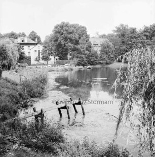 Mühlenteich: Blick von Süden Am Mühlenteich auf gegenüberliegendes Ufer: hinten links zwischen Bäumen Elektriziätswerk Reinbek-Wentorf GmbH [später: e-werk Sachsenwald]: hinten rechts Schloss Reinbek hinter Bäumen: vorn links zwischen Gräsern Überreste eines Steges: rechts Baumzweige