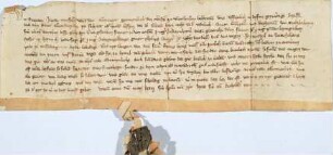 Wallertheim: Verleihung etlicher Güter zu Wallertheim