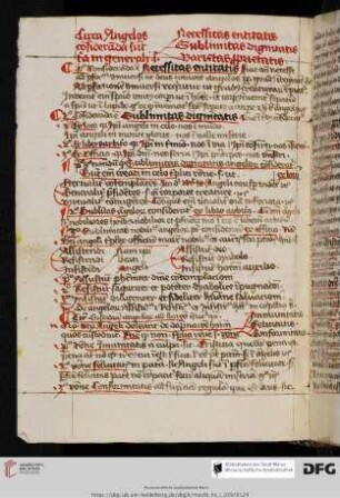 Reinerus de Pisis, Pantheologia