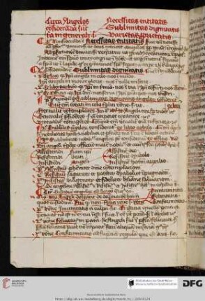 Reinerus de Pisis, Pantheologia
