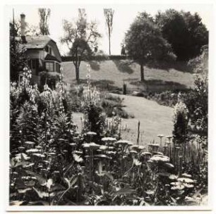 Garten Suidter, Luzern: Sommergarten