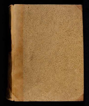 Summa contionum : Predigtnachschriften