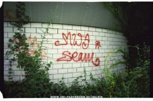 MWS 97
