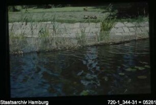 Alster, Uferbefestigung