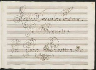 Lauda Jerusalem; V (4), strings; G-Dur