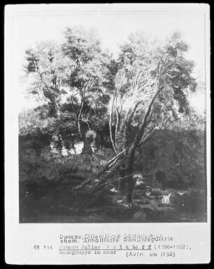 Baumgruppe im Moor