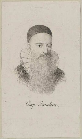 Bildnis des Casp. Bauhin
