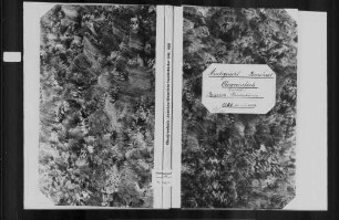 Obergrombach, israelitische Gemeinde: Standesbuch 1848-1869