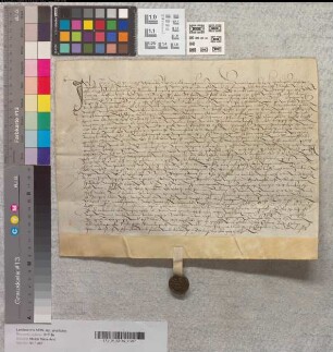 Der Richter Johann Wale, genannt Schiltmecker, zu Warendorf bezeugt den Verkauf von Land vor Warendorf an Abt Arnd und das Kloster Marienfeld durch Johann Rotgerug.
