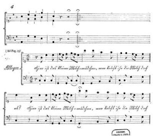 (Ad Pag. 19)