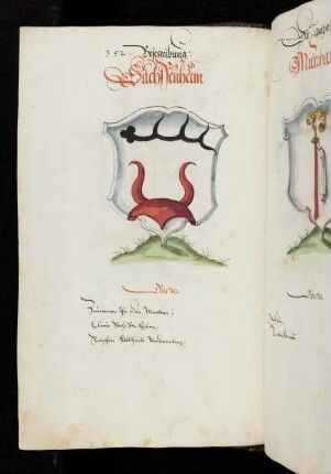 77v Sachsenheim