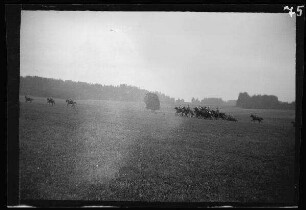 Manöver [in Schwaben:] Kavallerie auf einem Feld im Galopp (Seitansicht)