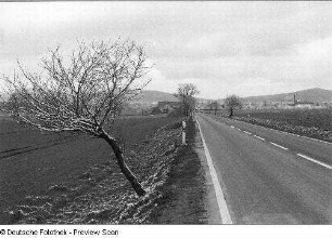 Landstraße bei Kamenz