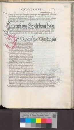 Wilhelm von Wittstadt gen. Hagenbuch