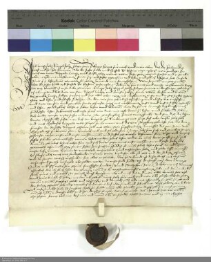 Revers des Konrad Stoltz bezüglich der Belehnung mit einem Burggut in Bad Brückenau durch Hartmann [Burggraf von Kirchberg], Abt von Fulda