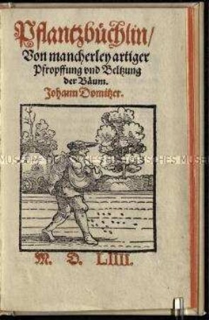 Anleitung zum Pflanzen und Pfropfen von Bäumen