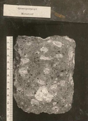 Quarzporphyr aus Metzdrorf. Dresden: Museum für Mineralogie und Geologie