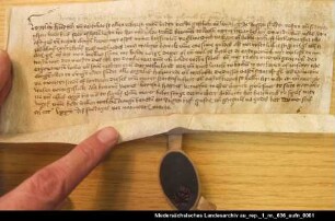 Boldo Rikena in Loppersum verkauft Wyllet Tyartzna in Vehnhusen Grundbesitz im Woltzeter Hammrich = OUB II, Nr. 917, S. 17 Anhängende Siegel verloren