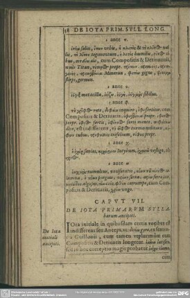 Caput VII. De Iota Primarum Syllabarum ancipiti
