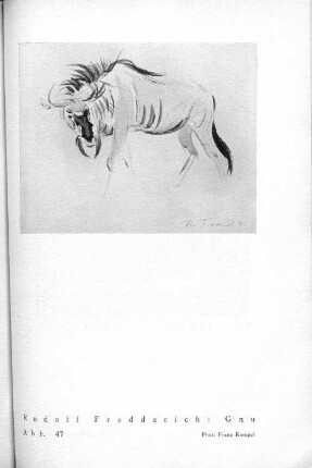 Rudolf Fredderich: Gnu. Abb. 47