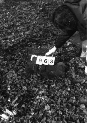 Grabstein 963