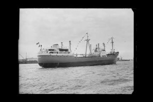 Catherine Sartori (1954), Frachtschiff, Sartori & Berger, Kiel, Bau-Nr. 570