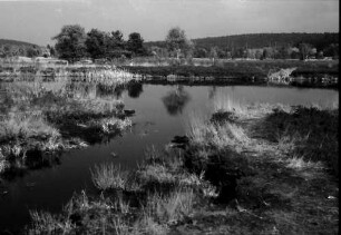 Schwenninger Moos (Neckarquelle) bei Schwenningen