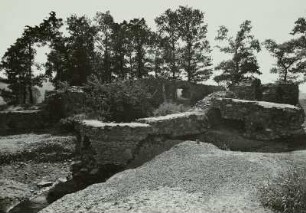 Ruine Stein
