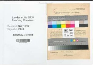 Entnazifizierung Herbert Rebesky , geb. 19.05.1903 (Kriminalbeamter)