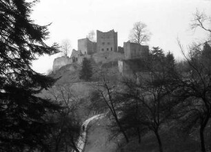 Oberkirch: Ruine Schauenburg bei Oberkirch; mit Tanne im Vordergrund
