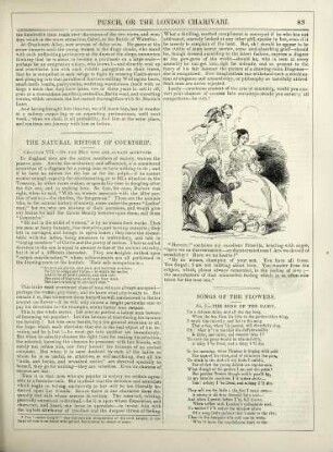 The natural history of courtship
