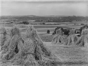 Heuhaufen auf einem Feld