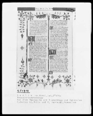 Franziskanisches Brevier — ---, Folio 214versoBuchseite