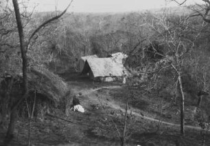Zweites Tendaguru-Lager : Nahaufnahme einer Savannenlandschaft mit Bäumen, Expeditionslager, Hütten und Expeditionsmitgliedern