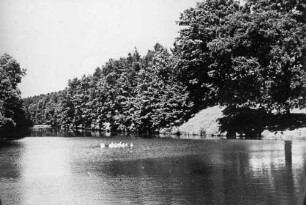 Weiher beim Dorf Graben