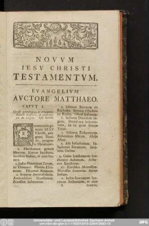Evangelium Auctore Matthaeo.